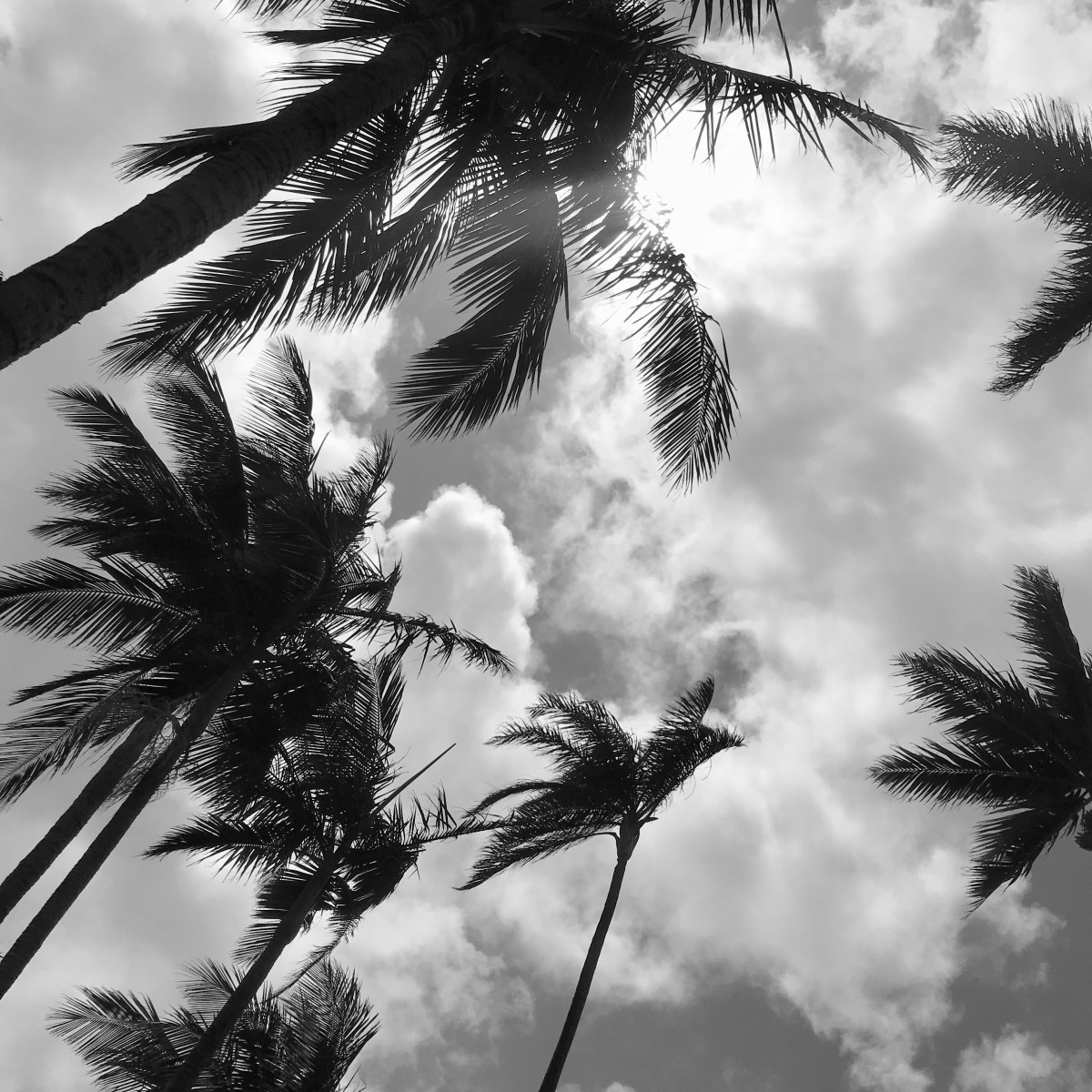 OS CÉUS AJUDAM O&nbsp;IDIOTA