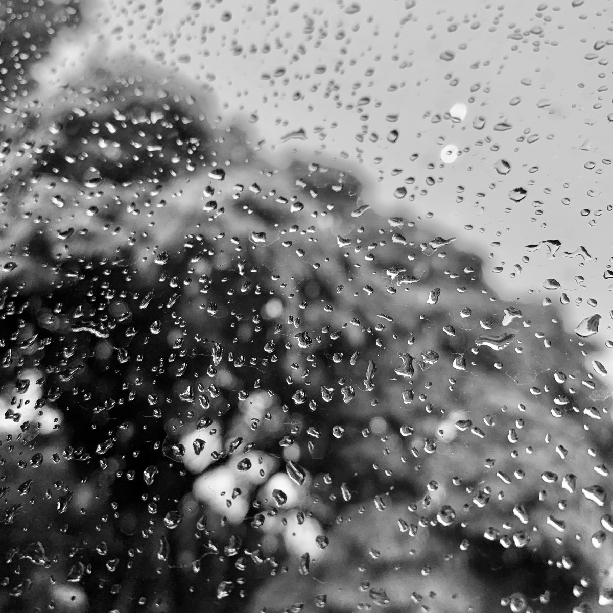 SHH NÃO FALE&nbsp;NADA